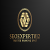 SEOEXPERTO12