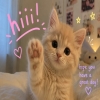 taslimaakter779