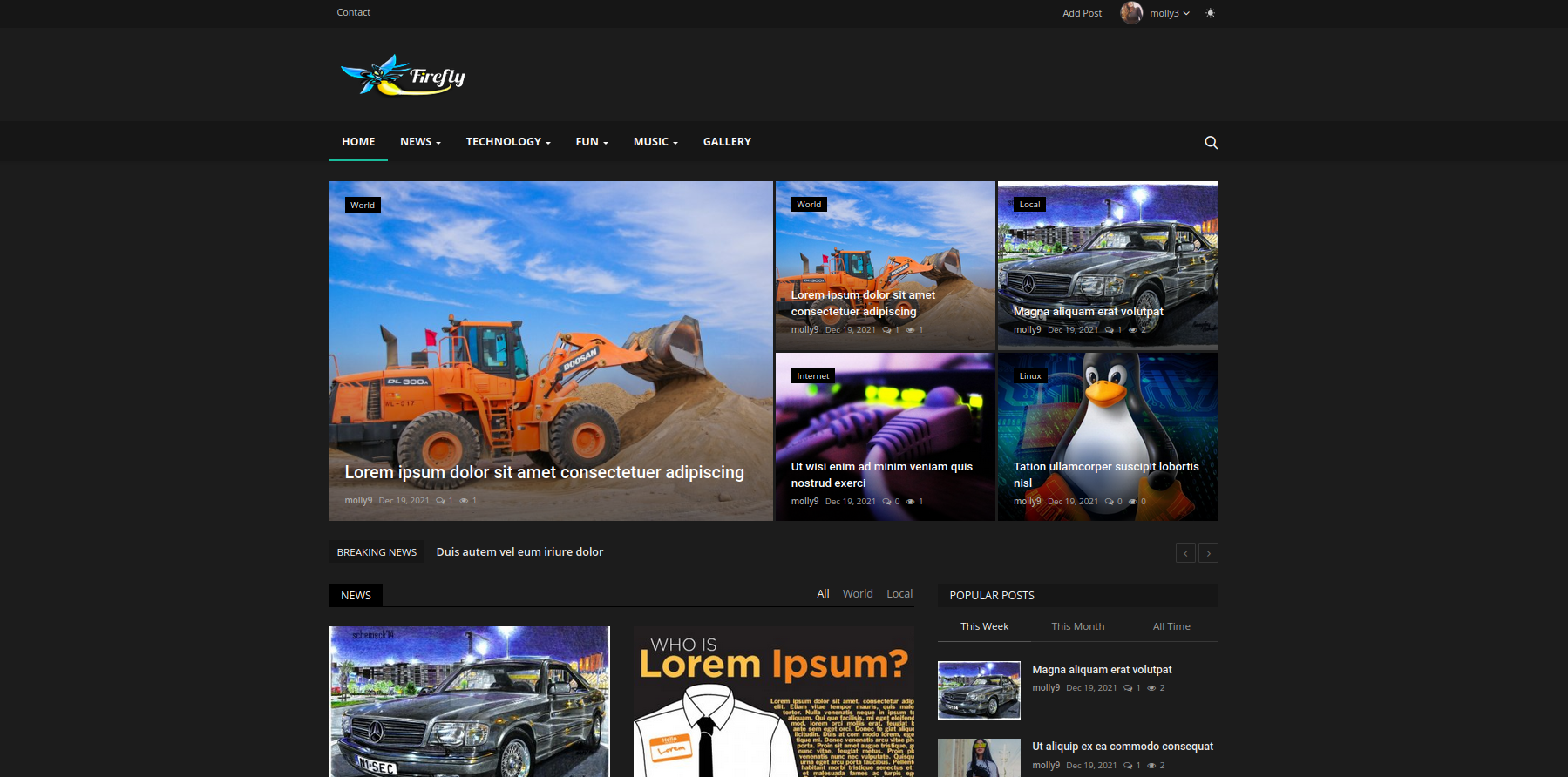 Firefly - News & Magazine Portal PHP script 1.1 - Developers license version for unlimited use