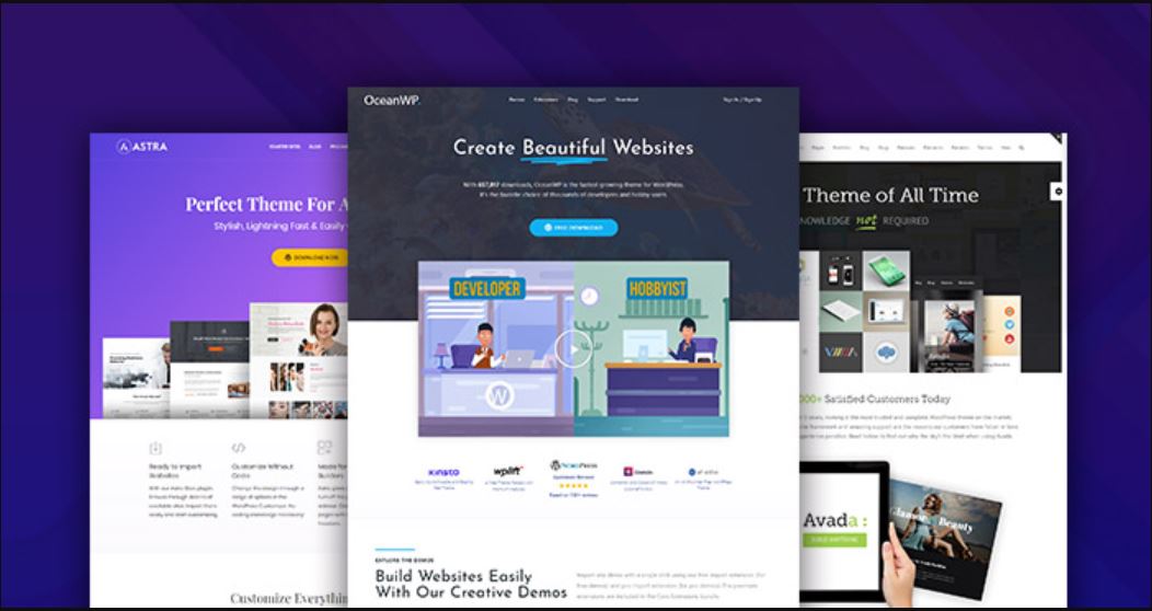 I will Install and Customize you WordPress theme