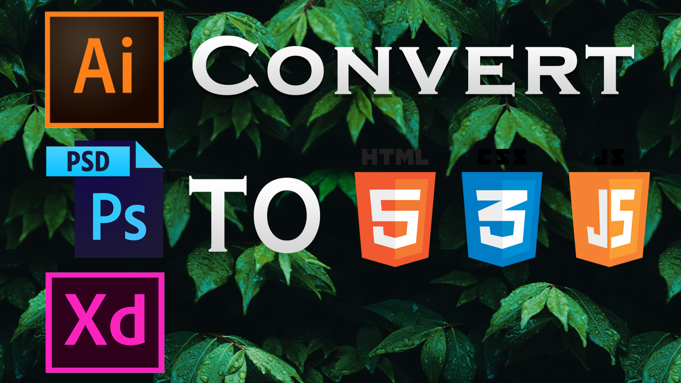 Convert PSD To HTML, Ai To HTML, Xd to HTML