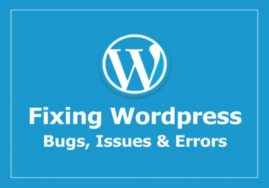 Quickly Fix WordPress Errors And WordPress Issues