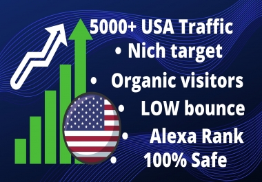 5000 plus Nich Target Real USA unique visitors Traffic for your website