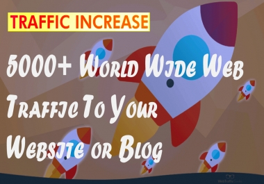 5000+ World Wide Web Traffic To Your Website Or Blog