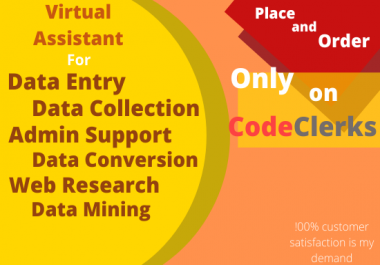 Virtual Assistant For Data Entry,  data mining,  data scraping and admin support