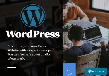 I will Install and Customize you WordPress theme