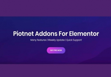 I will install piotnet addons pro for elementor in one hour