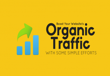 Organic SEO traffic daily 1000 for a month
