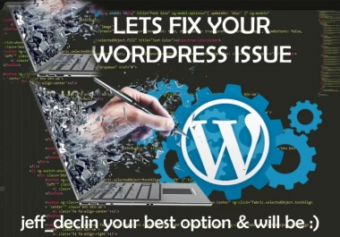 Fix Wordpress Issues Or Wordpress Errors In 12 Hrs