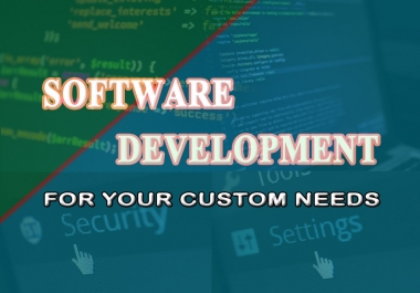 Creating a custom software for your website or project