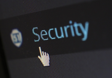 Optimize and Secure Your WordPress Website