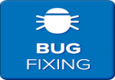 Its Time Fix Your WebSite Bugs