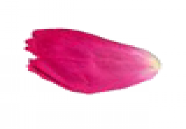 St Valentine WordPress plugin Rose petal falling animation