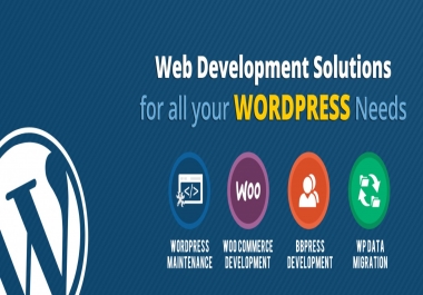 Wordpress web development services and code issues fixing